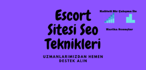 Escort Sitesi Seo Teknikleri