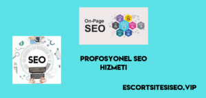 Profosyonel Seo hizmeti